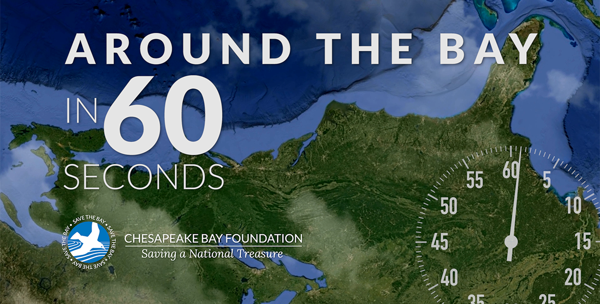 Around the Bay in 60 Seconds June 2022 Chesapeake Bay Foundation