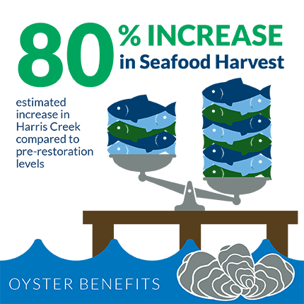 An 80 percent increase in seafood harvest is estimated in Harris Creek compared to pre-oyster-restoration levels.  Graphic credit: copyright Chesapeake Bay Foundation