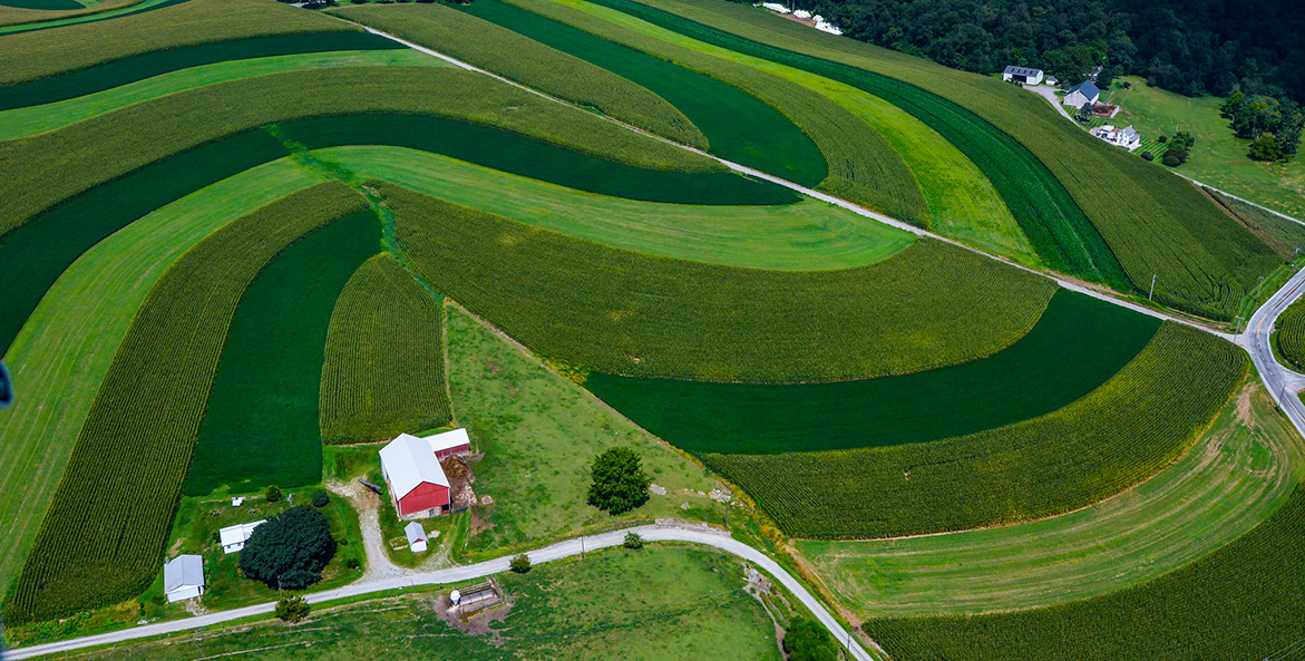 Aerial photo of a farm with broad swaths of fields in varying colors of green.