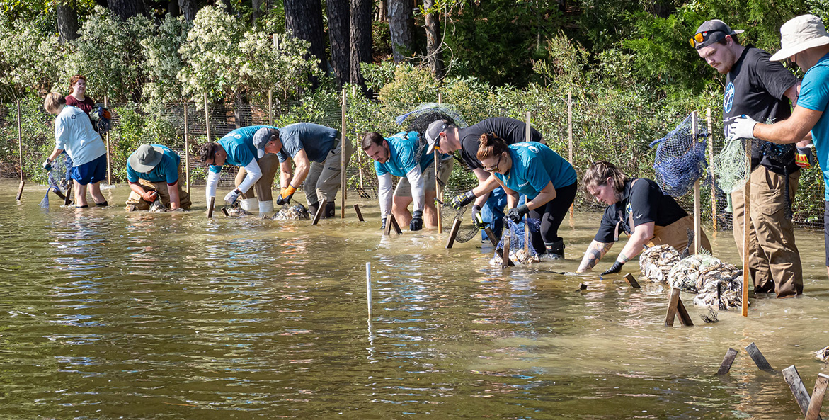 BBGF_AmazonPortOfVa BBGF Planting_Group Mangan 1171x593