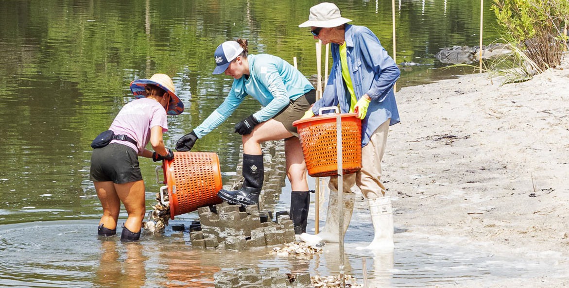 Three women stand on the shoreline emptying orange baskets of oyster shell into the water.