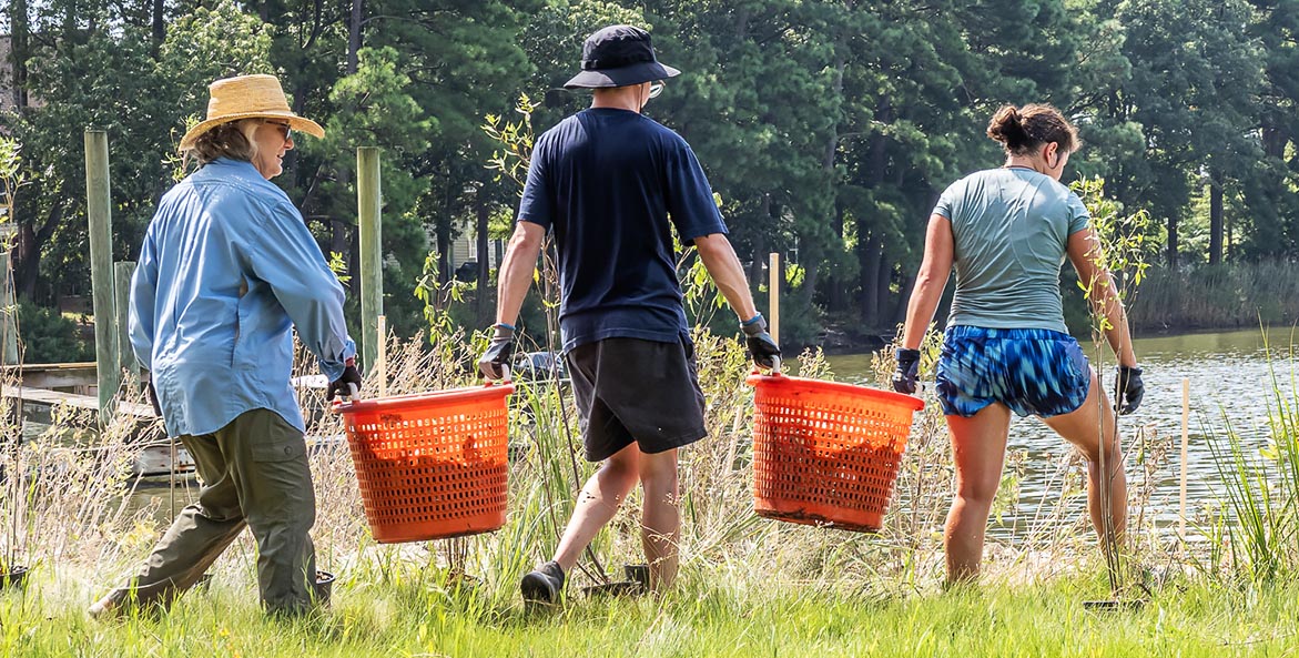 carrying-oyster-shells-2-sue-mangan-1171x593