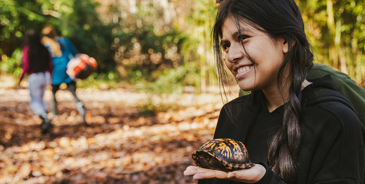 A young girl holds a turtle in her hand.