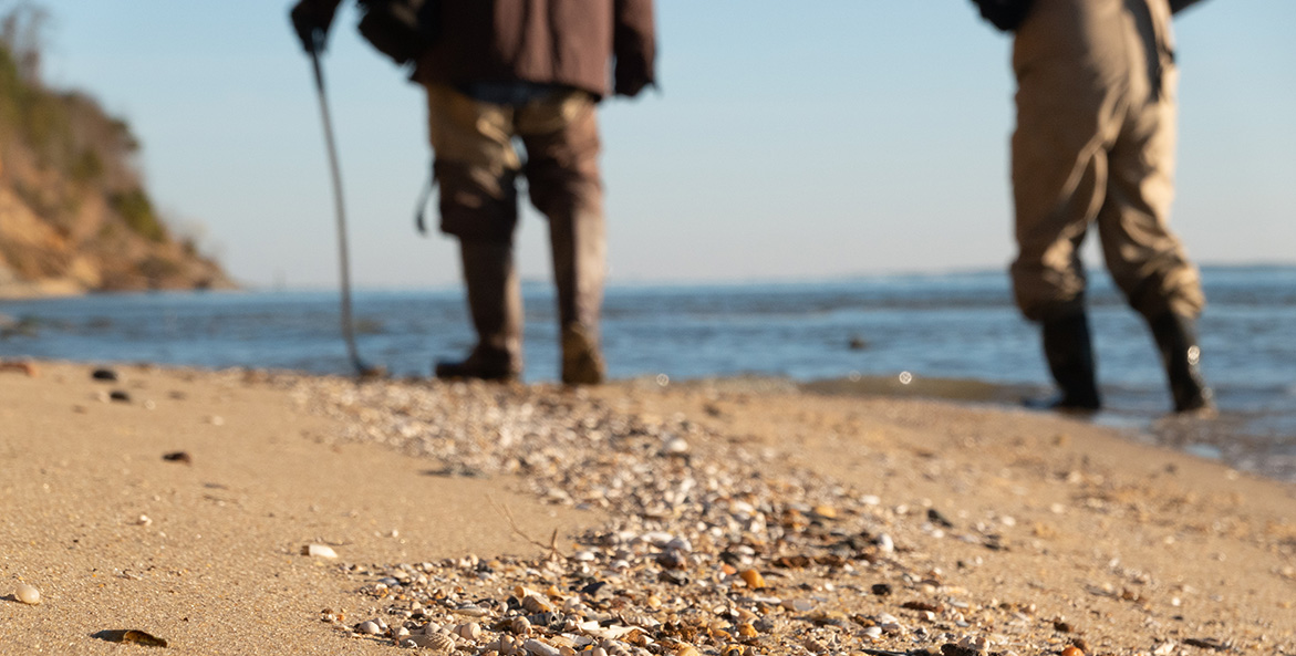 fossil hunting calvert cliffs jakesolystcbp 1171x593