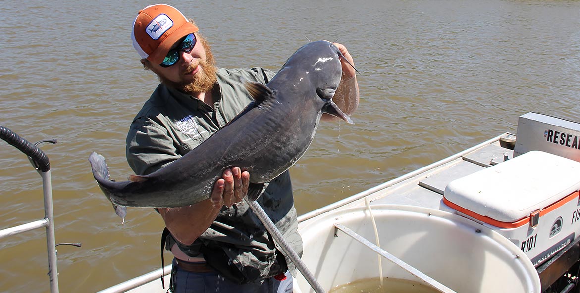 Fritz of DGIF with a large blue catfish (Credit Kenny Fletcher) 1171x593