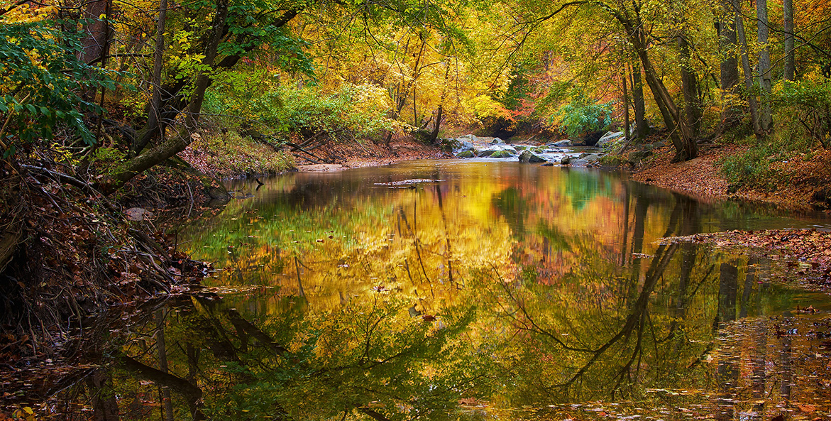 Trees in autumn colors surround a stream and reflect in the water.