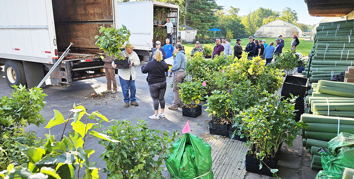 People load trees out of a truck