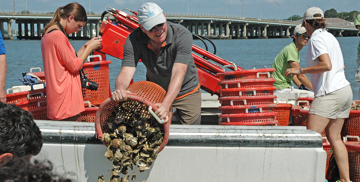 Senator Tim Kaine empties an orange basket of oyster shells over the side of a CBF workboat.