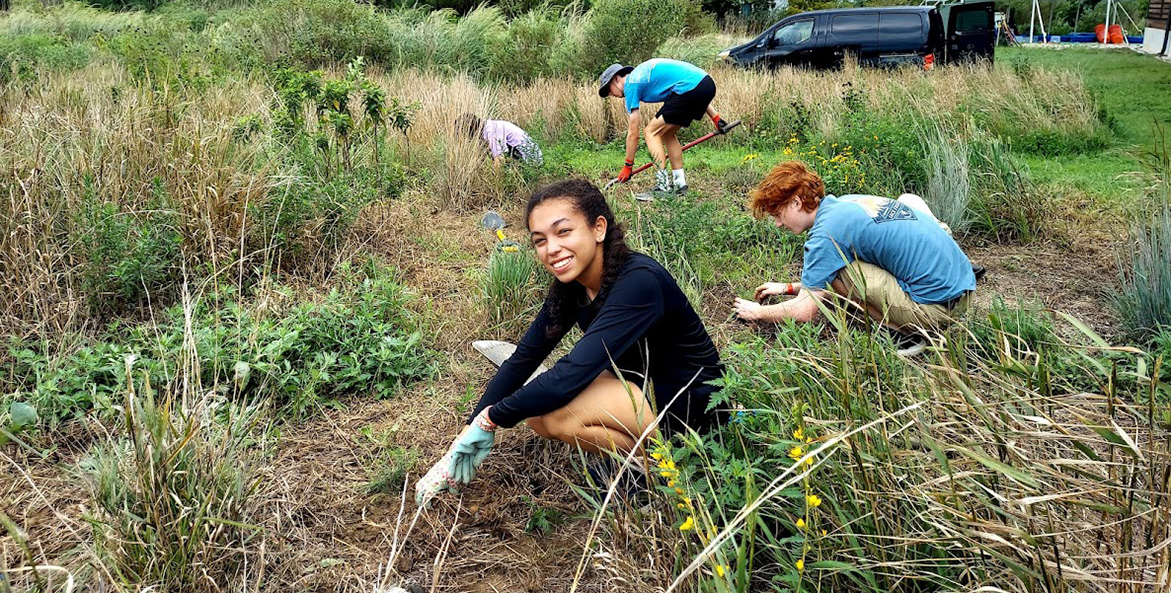 native planting isabella 1171x593