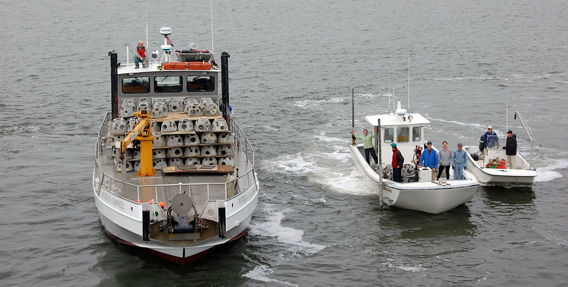 oyster restoration boats PatMcKinnon 1171x593