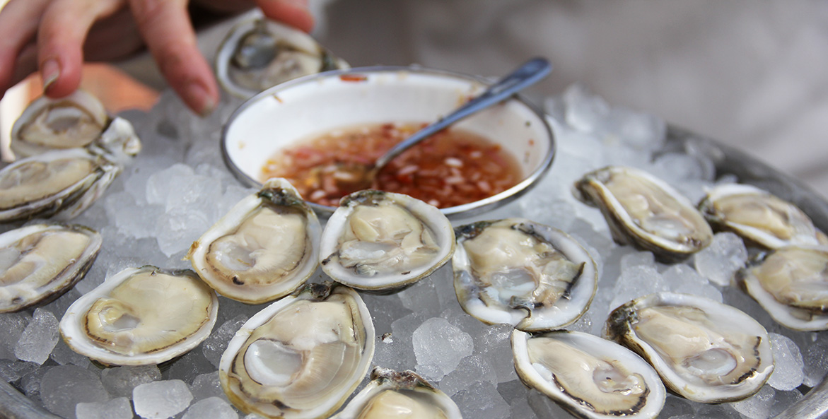 Oysters on the half shell are laid out over ice.