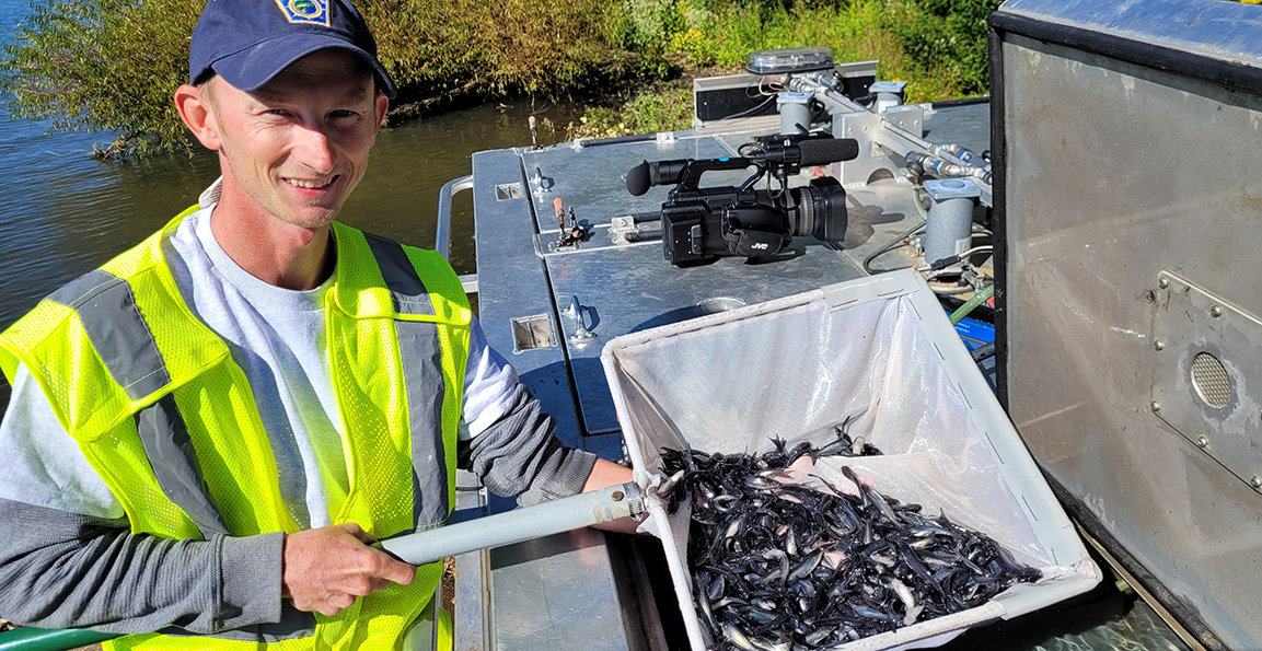 PFBC Fish Culturist Andy Severns stocks Blue Catfish Fingerlings into the Ohio River near Point State Park in Pittsburgh_1171x593