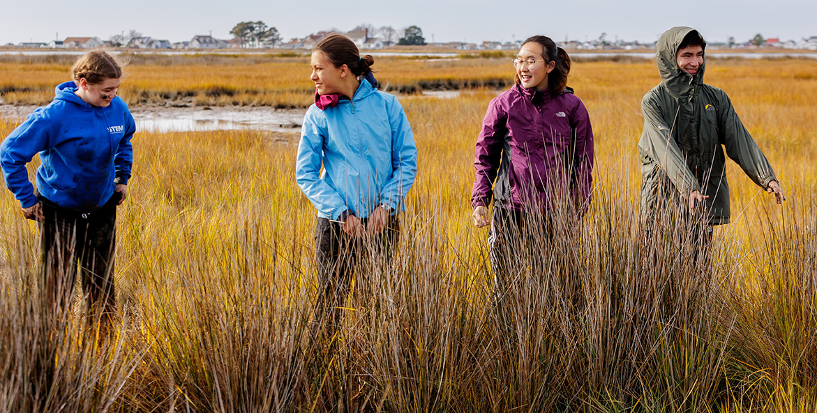 Students in marsh Smith Island Caroline Phillips 1171x593