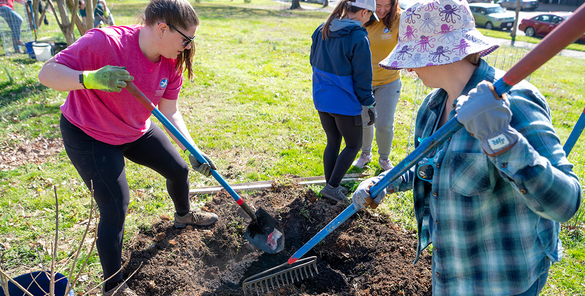 Two women dig a hole in preparation for planting a new tree.