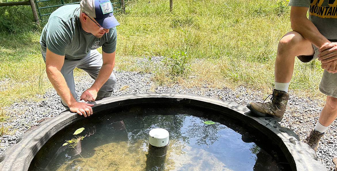 Two men lean over a round trough filled with water.