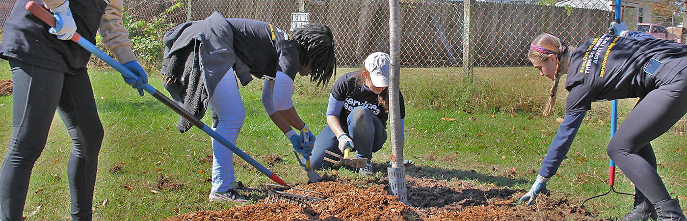 Three young women finish planting a tree.