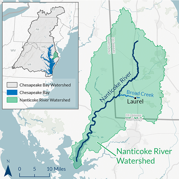 Map shows the Nanticoke River watershed in Maryland and Delaware, with Broad Creek connecting to the Nanticoke, and the Nanticoke flowing into the Chesapeake Bay.