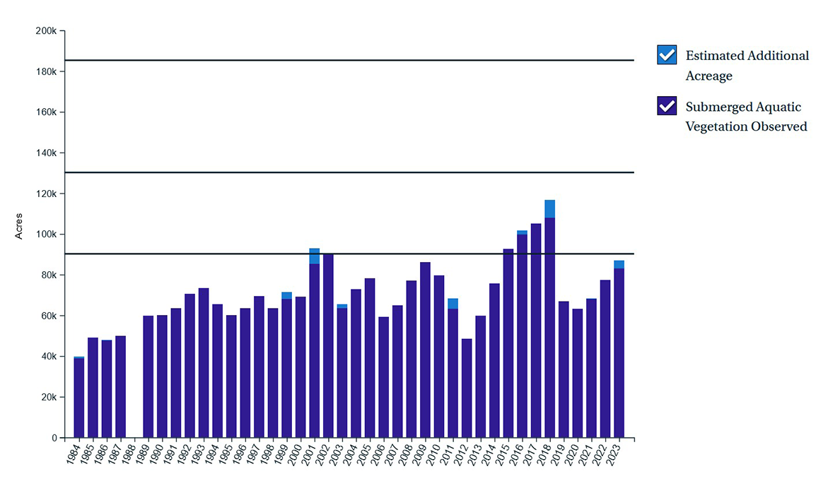 Chart showing acreage of submerged aquatic vegetation from 1984 through 2023.