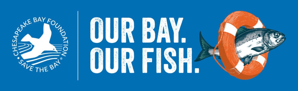 Image of a fish swimming through a life preserver with text Our Bay. Our Fish. and Chesapeake Bay Foundation Save the Bay logo.